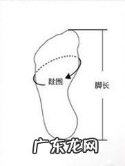 海外亚马逊 海淘亚马逊官网