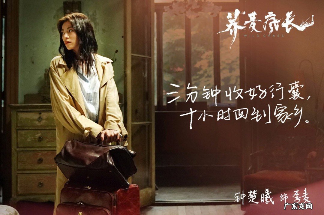 荞麦疯长观后感