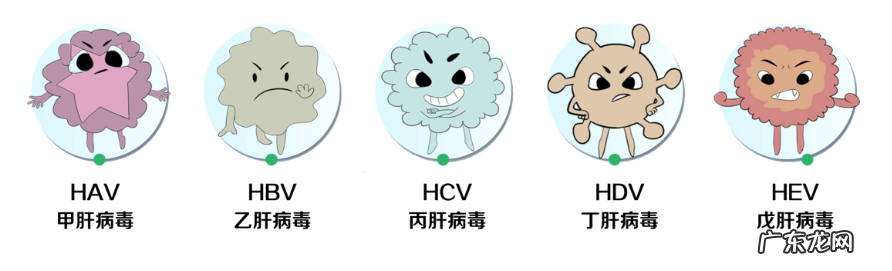 甲乙丙丁戊是什么意思 甲乙丙丁戊肝炎