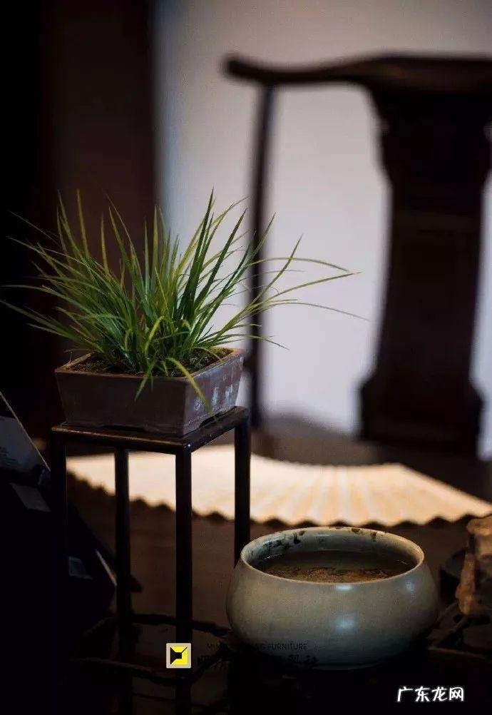 农村庭院搭花架在什么位置好 农村老宅左边设计花架风水如何摆放