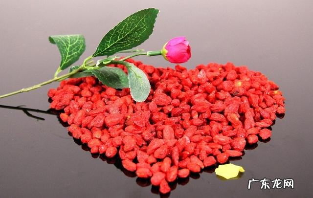 枸杞对人体有什么好处?