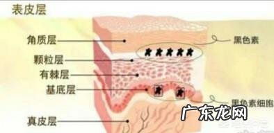 皮肤黄气很明显,美白精华效果很有限,有什么祛黄气的好办法?