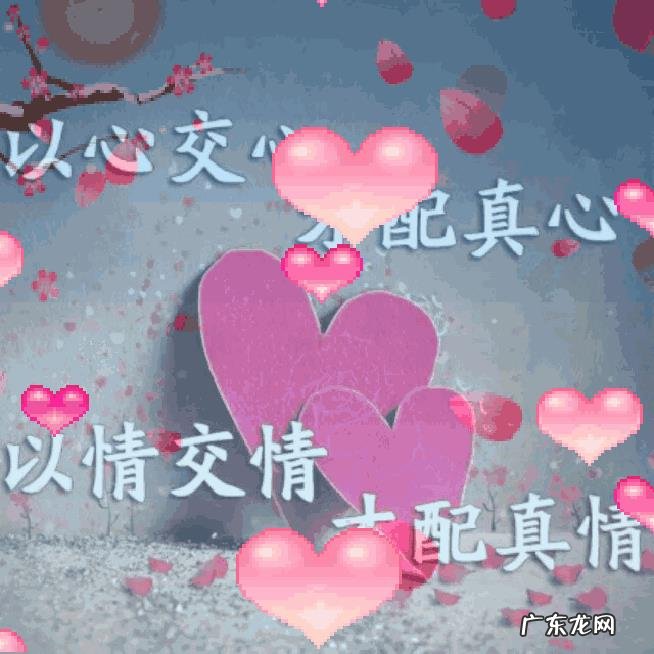 追到一个女生,需要做到哪几点?