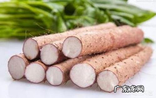 男性如何食疗补肾?