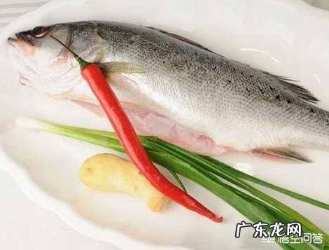 男性如何食疗补肾?