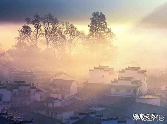 如何利用阳光拍摄好看的照片?