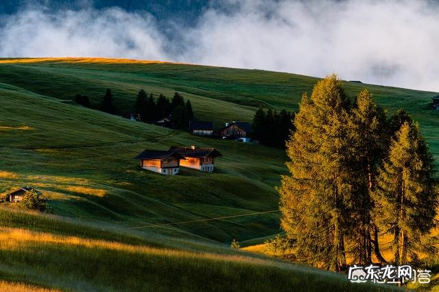 如何利用阳光拍摄好看的照片?
