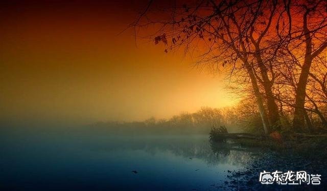 如何利用阳光拍摄好看的照片?