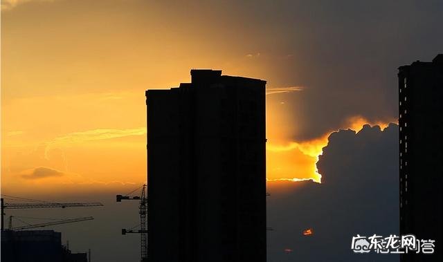 如何利用阳光拍摄好看的照片?