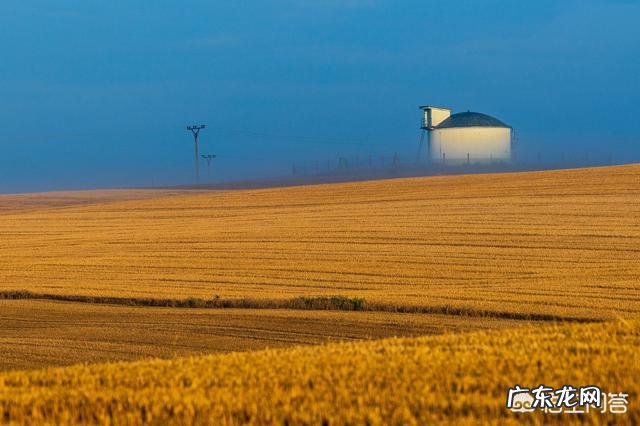如何利用阳光拍摄好看的照片?