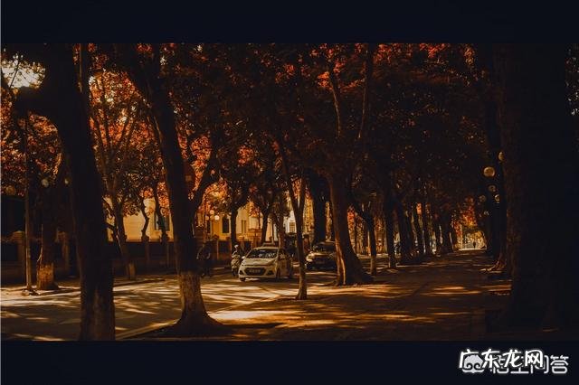 如何利用阳光拍摄好看的照片?