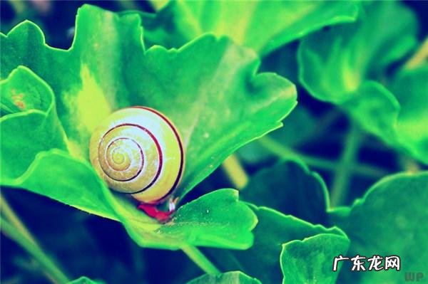 氤氲缱绻什么意思读音 心有缱绻怎么读