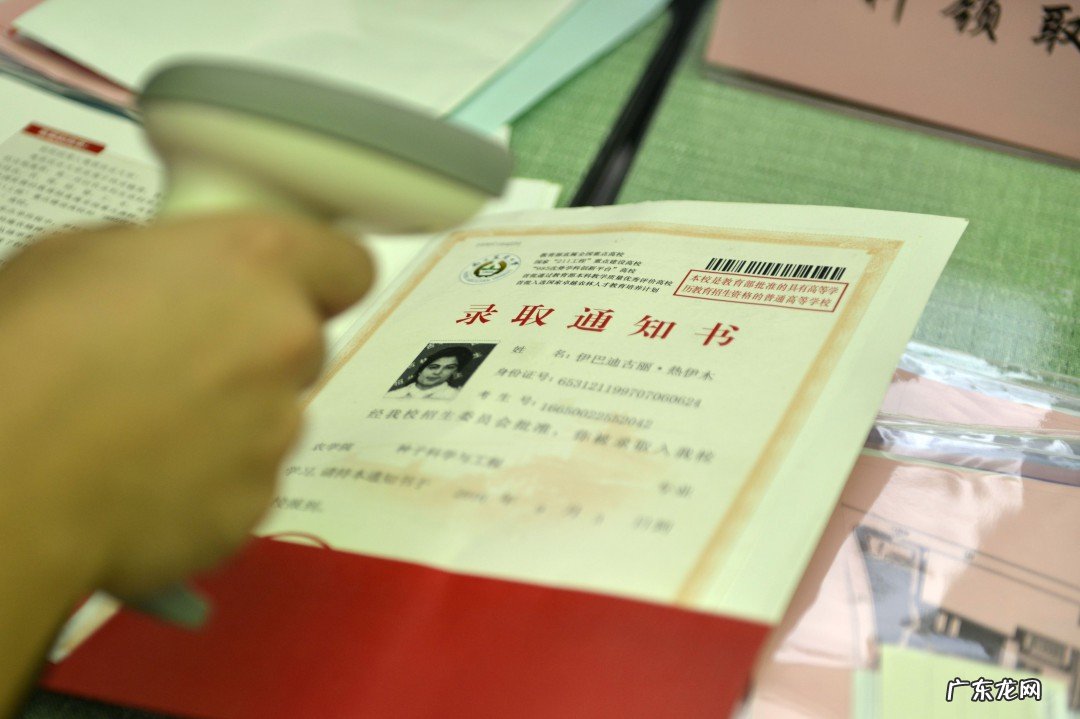 一本录取结果什么时候出来