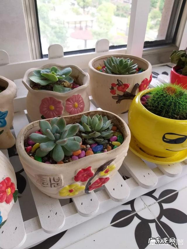 新房已经除甲醛,但天气热时家具还是有味道,如何处理?