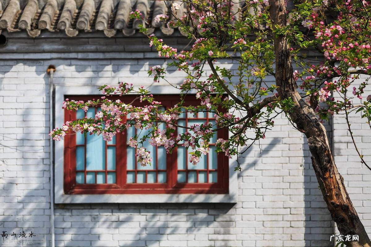 院子里种什么花风水好 院子栽什么花风水好