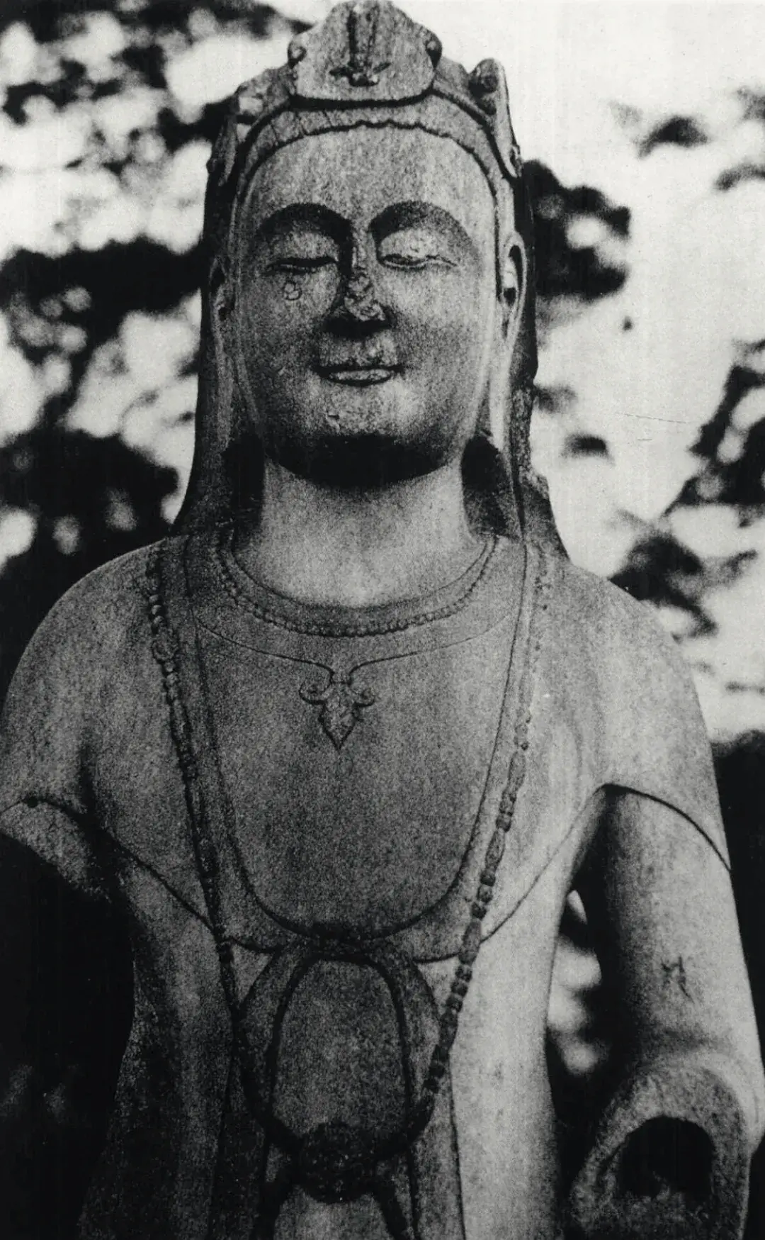 剑摆放风水 四棱剑树风水