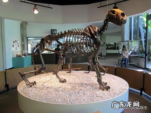 史前人类时期存在的可怕动物有哪些？