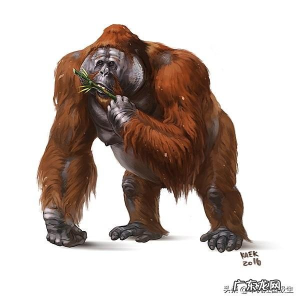 史前人类时期存在的可怕动物有哪些？