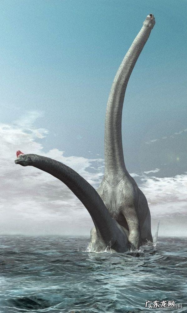 史前人类时期存在的可怕动物有哪些？