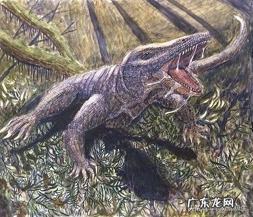 史前人类时期存在的可怕动物有哪些？