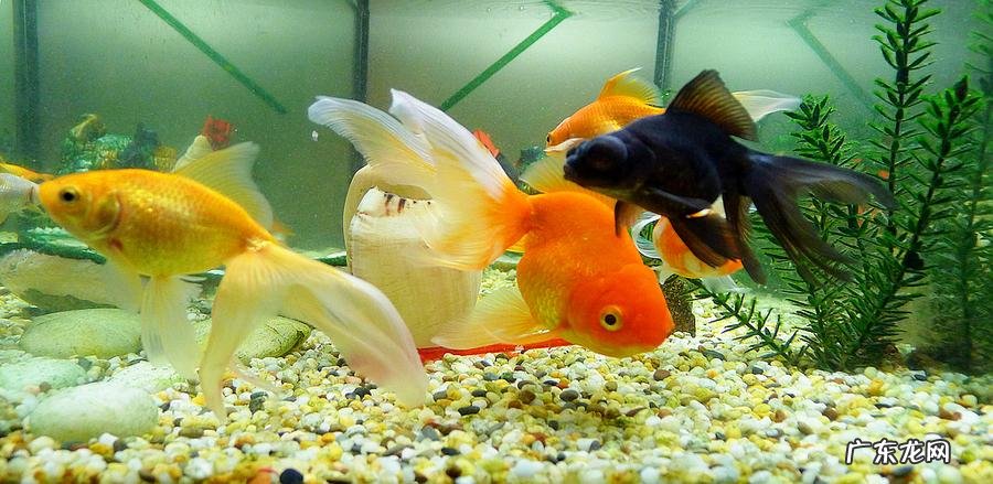 电视机风水 电视位置风水