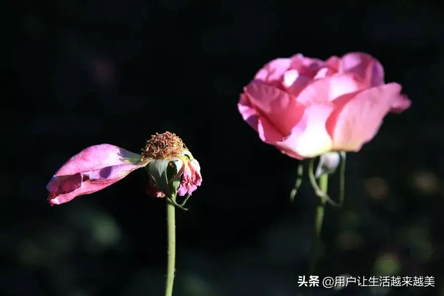 一个男人为一个女人改变自己 一个女人可以改变一个家的风水嘛