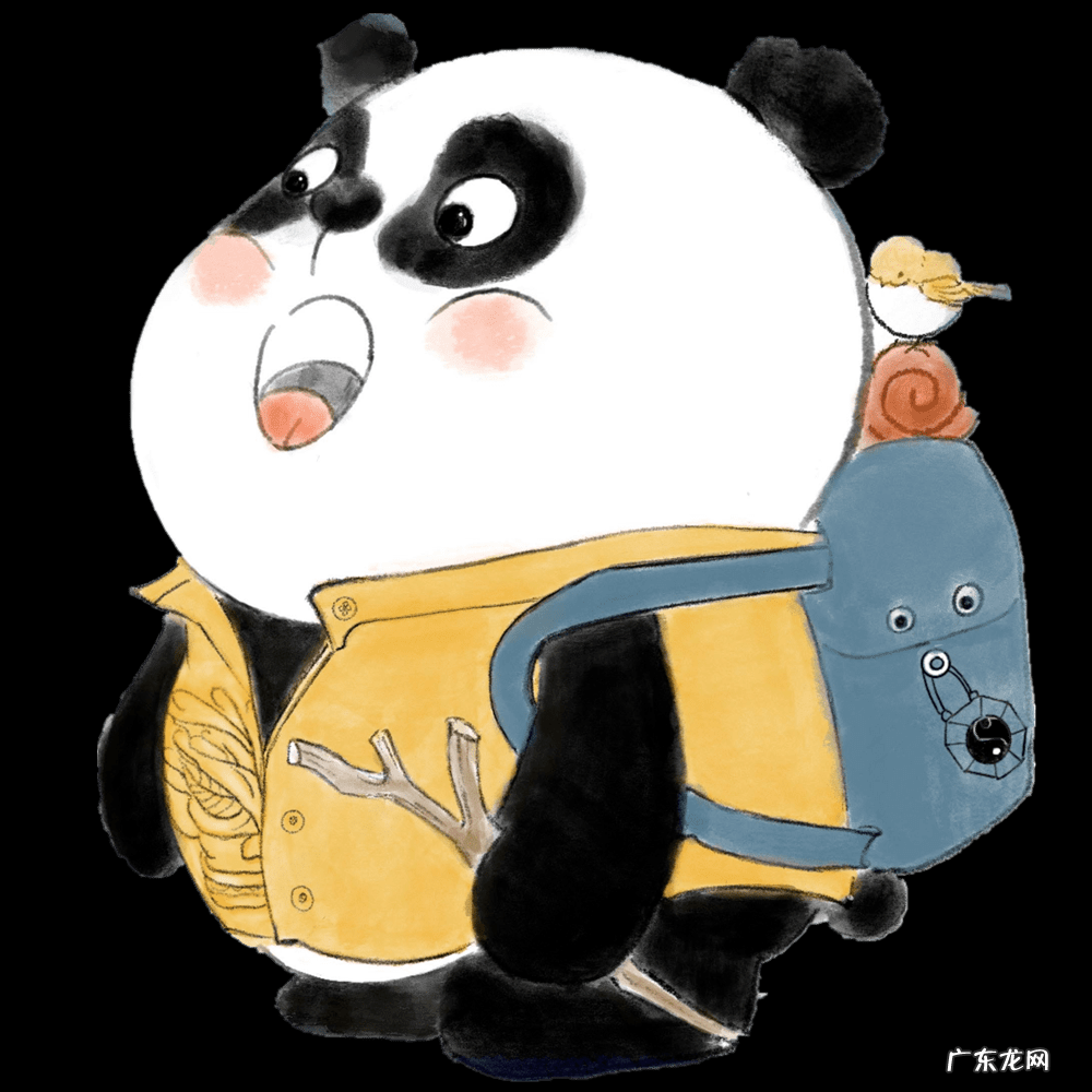 飞兔加速器 熊猫加速器怎么样