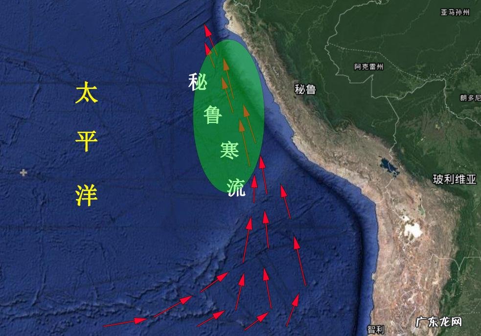 旗鱼又叫什么鱼 旗鱼是什么鱼