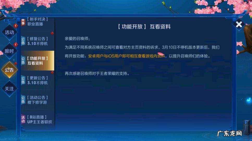 王者荣耀助手iOS