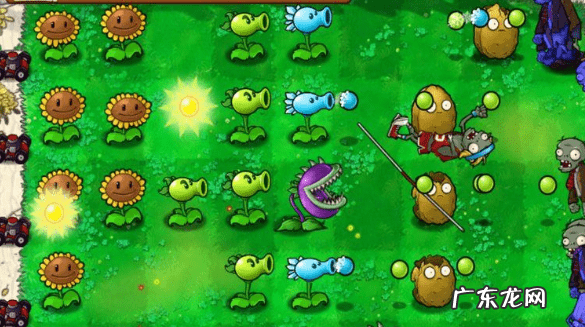 向日葵怎么控制魔兽 魔兽世界向日葵宝宝在哪