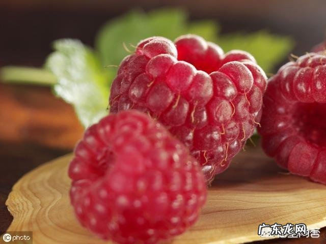 农村的山泡可说是最美味的野果了,那如何能区分山莓、蛇莓、刺莓、野草莓、覆盆子?