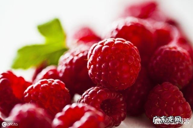 农村的山泡可说是最美味的野果了,那如何能区分山莓、蛇莓、刺莓、野草莓、覆盆子?