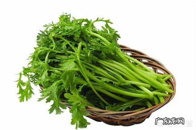 茼蒿吃了有什么好处?