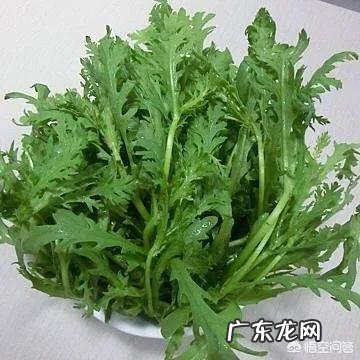 茼蒿吃了有什么好处?