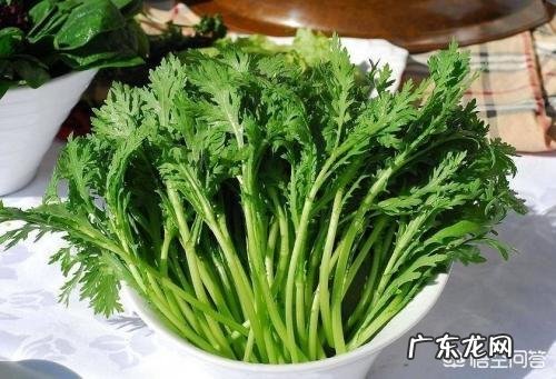 茼蒿吃了有什么好处?