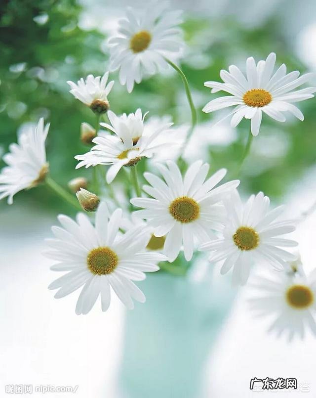 女孩子该如何放下自己的初恋?