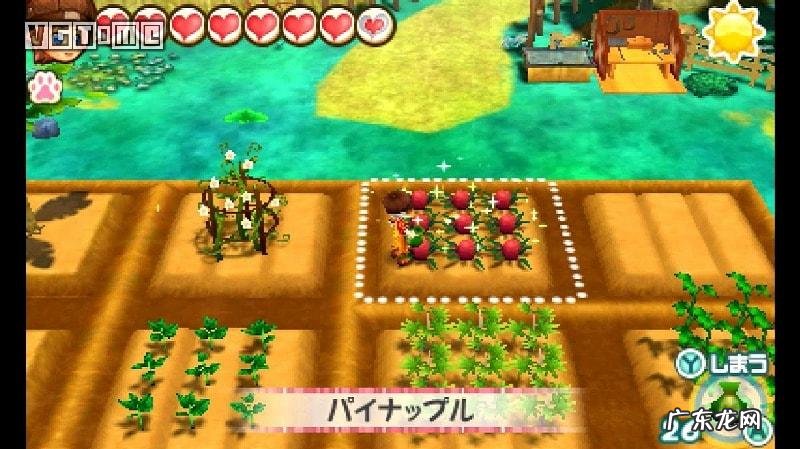 psp牧场物语蜜糖村怎么存档 psp牧场物语蜜糖村茶屋在哪