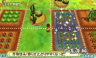 psp牧场物语蜜糖村怎么存档 psp牧场物语蜜糖村茶屋在哪