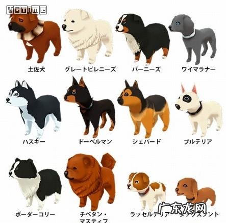 psp牧场物语蜜糖村怎么存档 psp牧场物语蜜糖村茶屋在哪