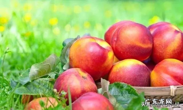 孕期油桃能不能吃？