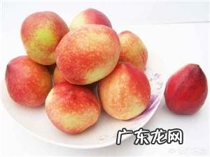 孕期油桃能不能吃?