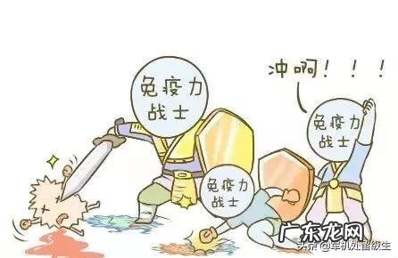 红枣对人体有哪些益处呢?