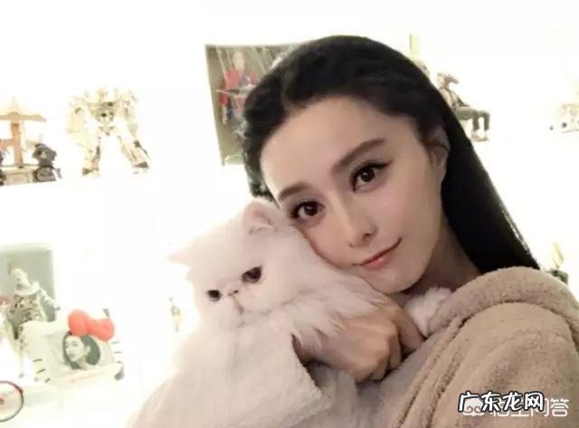 网友吐槽范冰冰《时代周刊》封面照不美,你怎么看?