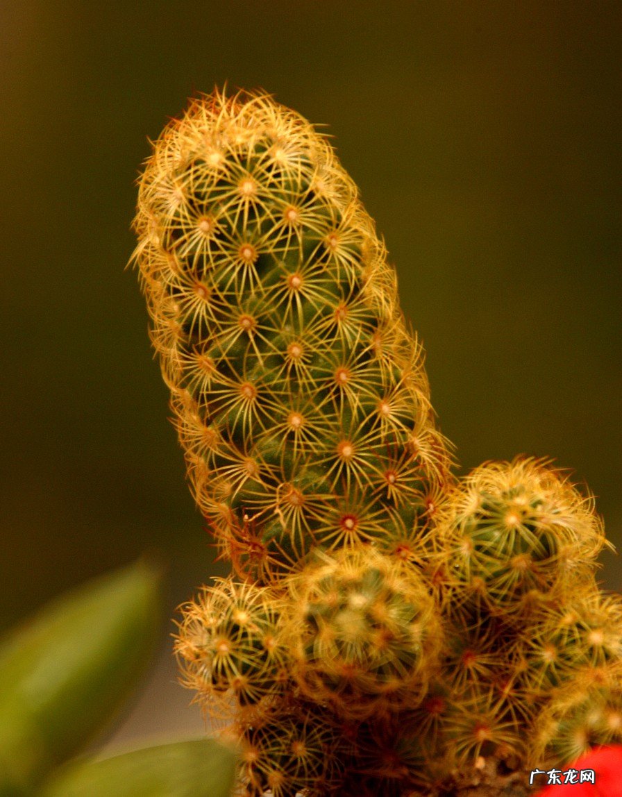 穷，寸步难行 寸步难行造句子