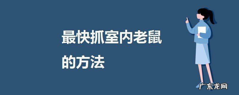 最快抓室内老鼠的方法
