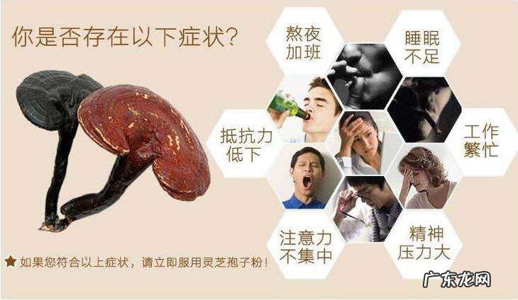 灵芝孢子粉的功效和作用