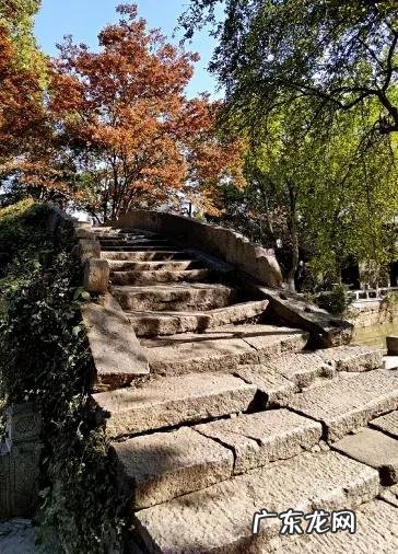 知交半零落,一壶浊酒尽余欢 知交半零落意思