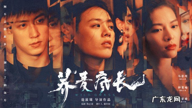 荞麦疯长故事梗概