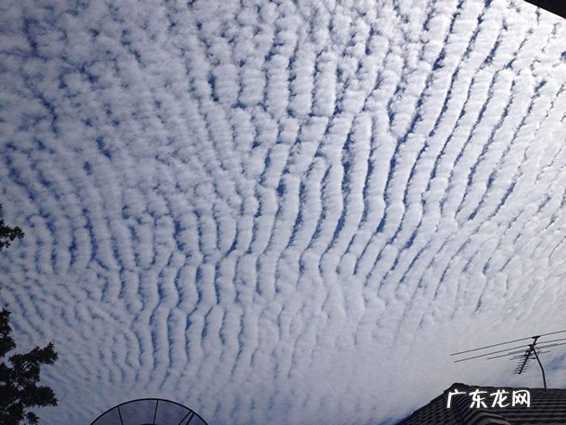 地震云：想让你害怕，只需要一个低级的心理把戏 飞机拉线是怎么回事