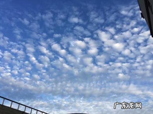 地震云：想让你害怕，只需要一个低级的心理把戏 飞机拉线是怎么回事